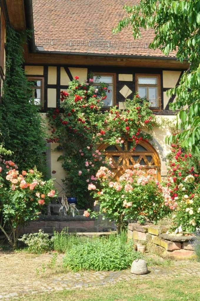 Gaestezimmer - Fuhrhalterei Maul Апартаменты Breuberg