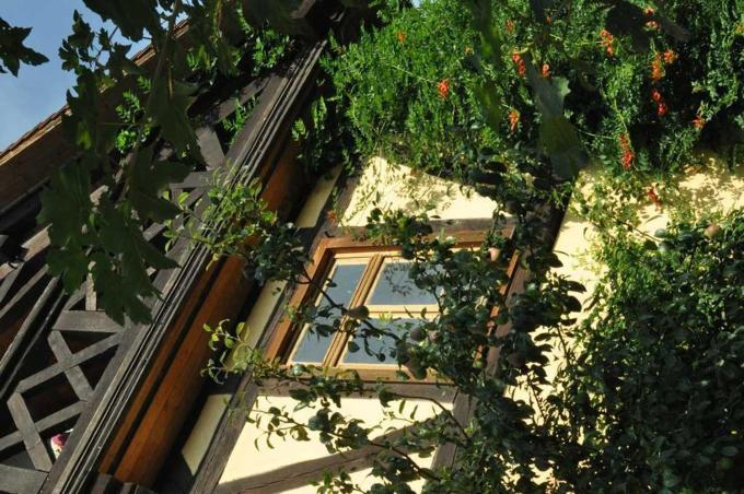 Gästezimmer - Fuhrhalterei Maul Apartment Breuberg