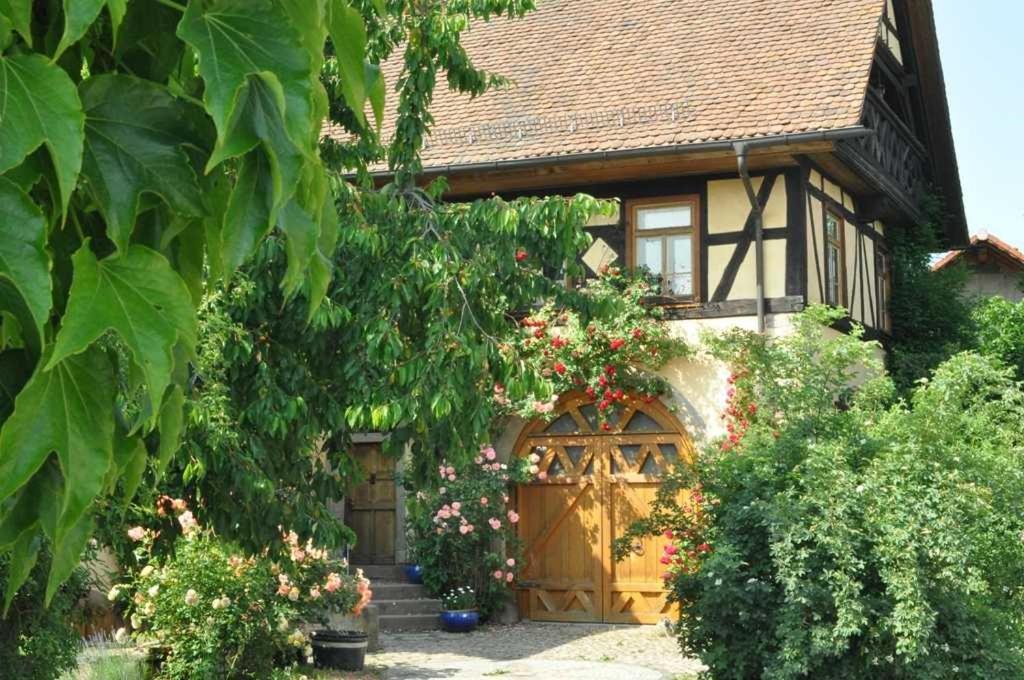 Gästezimmer - Fuhrhalterei Maul Apartment Breuberg